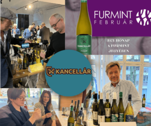 Furmint Február Kancellár