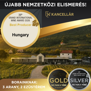 Nemzetközi elismerés